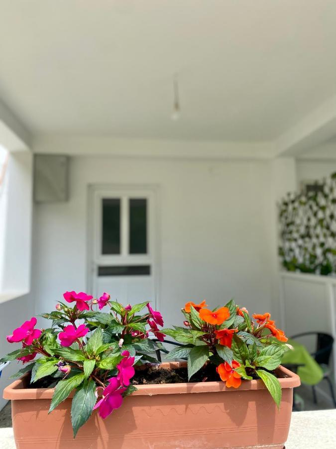Apartmani Dragana تْشيرسيك نوفي المظهر الخارجي الصورة
