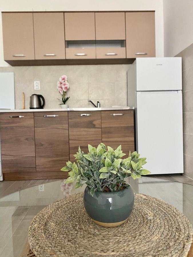 Apartmani Dragana تْشيرسيك نوفي المظهر الخارجي الصورة