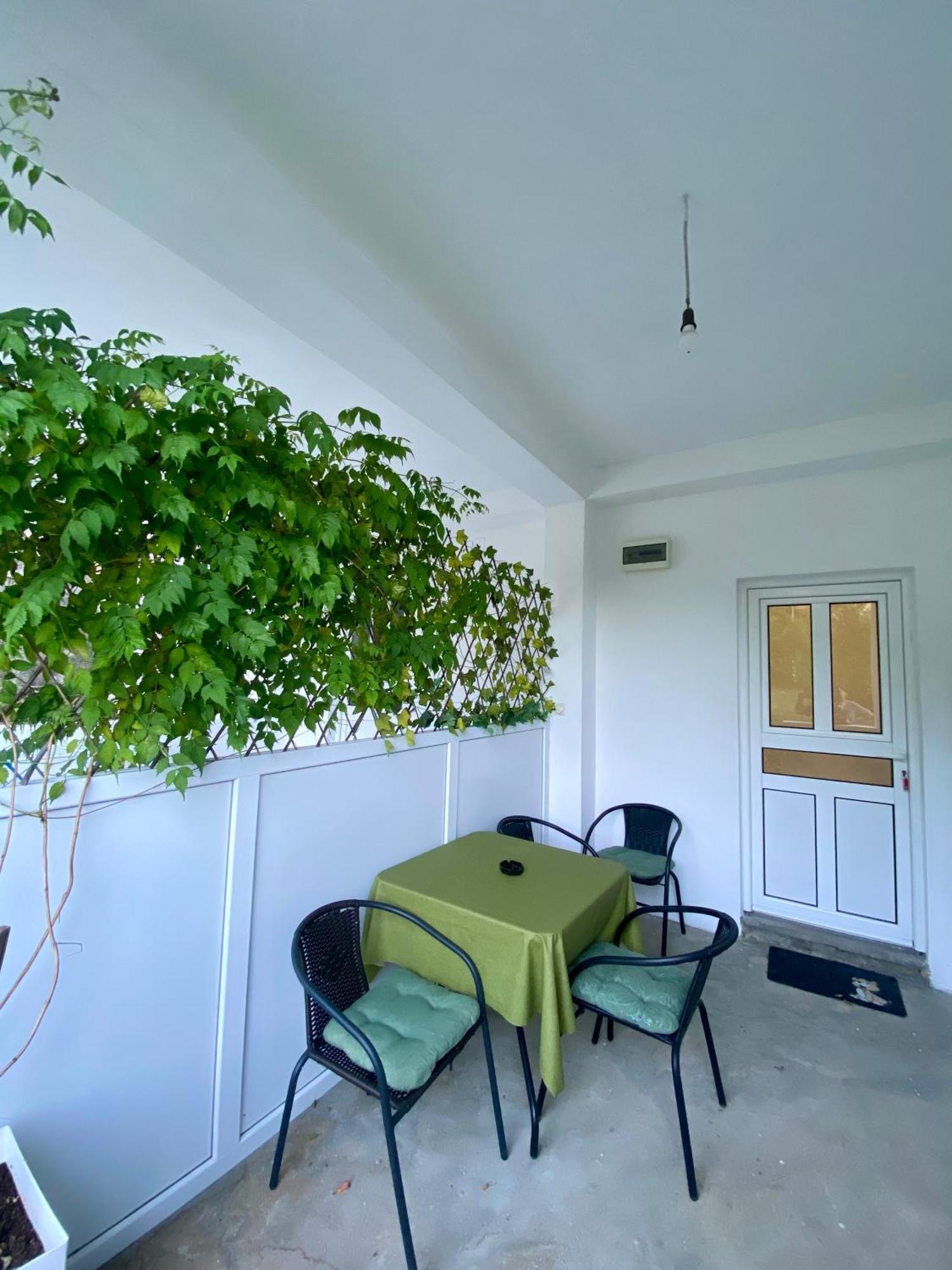 Apartmani Dragana تْشيرسيك نوفي المظهر الخارجي الصورة