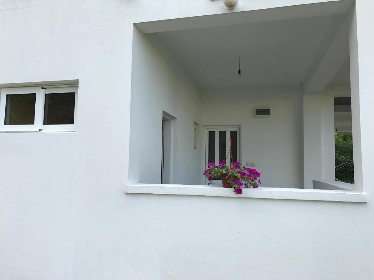 Apartmani Dragana تْشيرسيك نوفي المظهر الخارجي الصورة