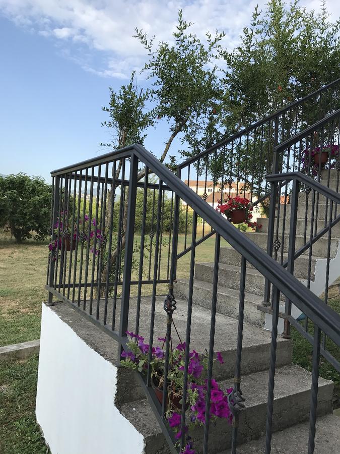 Apartmani Dragana تْشيرسيك نوفي المظهر الخارجي الصورة